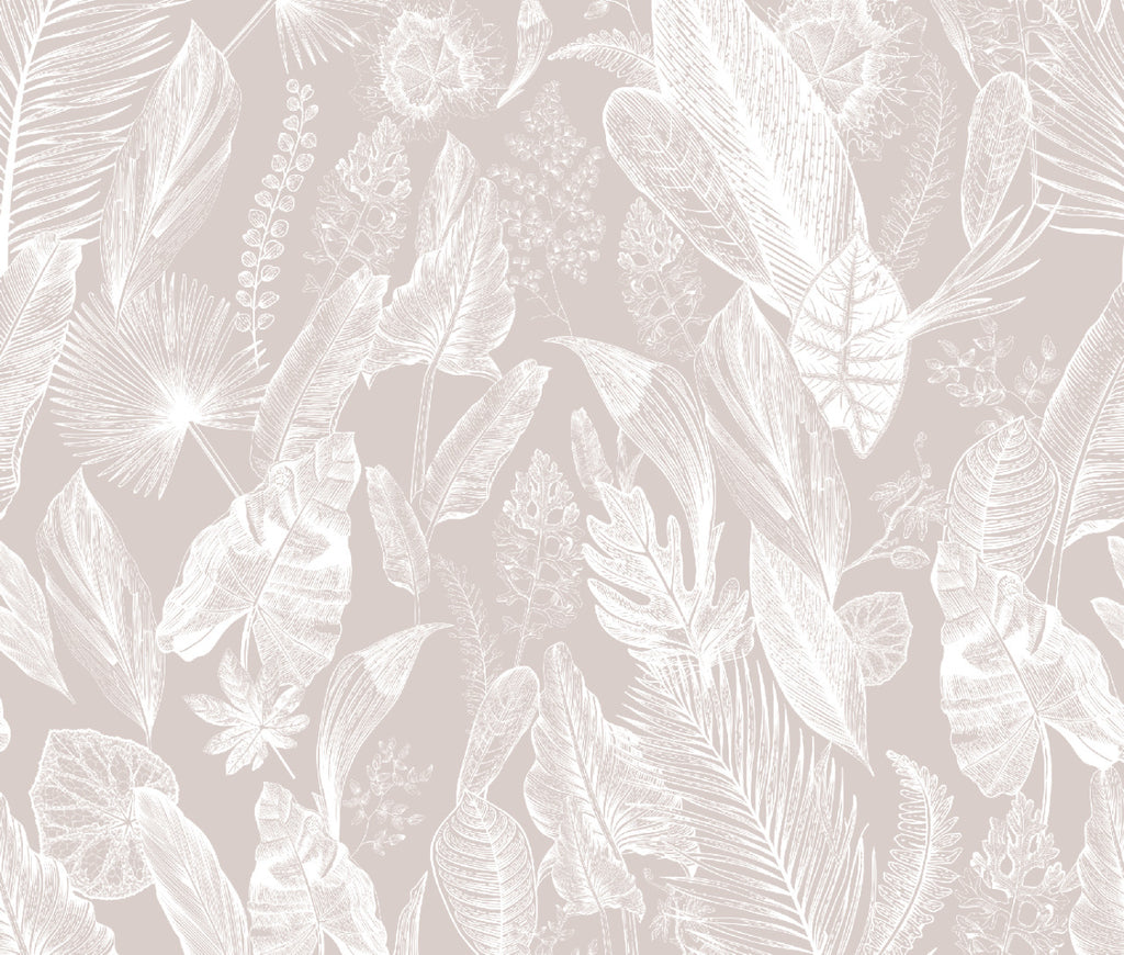 Plantas enciclopedia