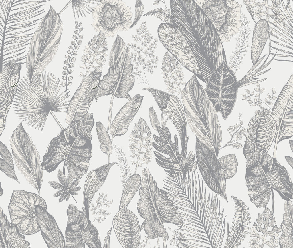 Plantas enciclopedia