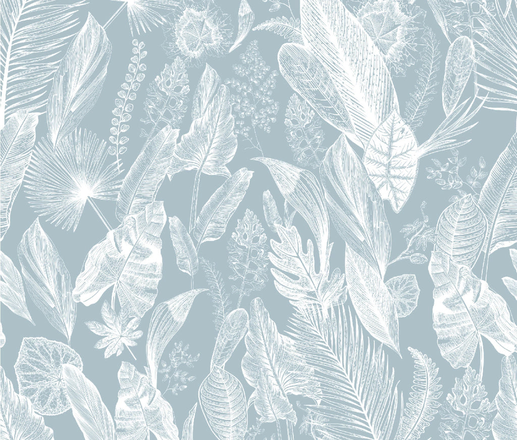 Plantas enciclopedia