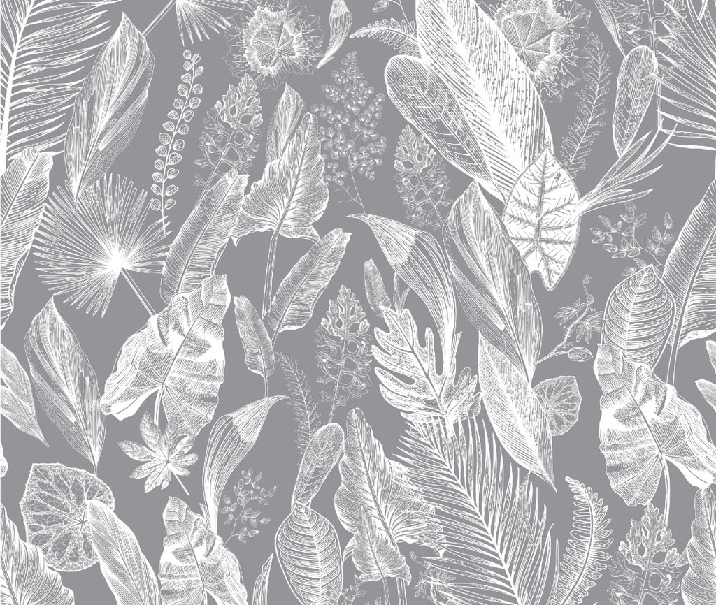 Plantas enciclopedia